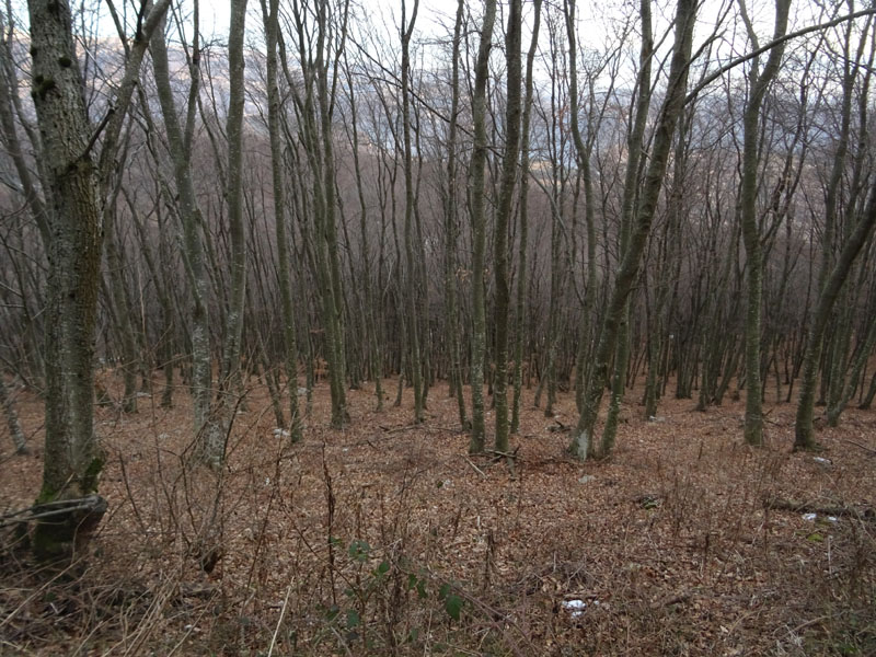 Punta di Naole e Monte Sparavero (Gruppo del Monte Baldo)